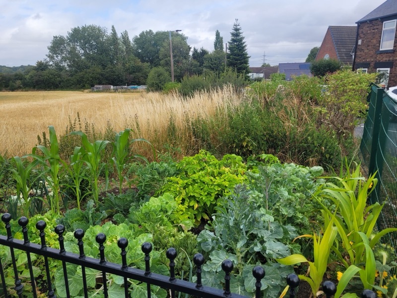 Other image for Barnsley’s Best Garden: Andrew forced to switch his tools